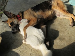 Garden of Eva 2014-01-04 015