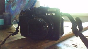 your window into our world on the road